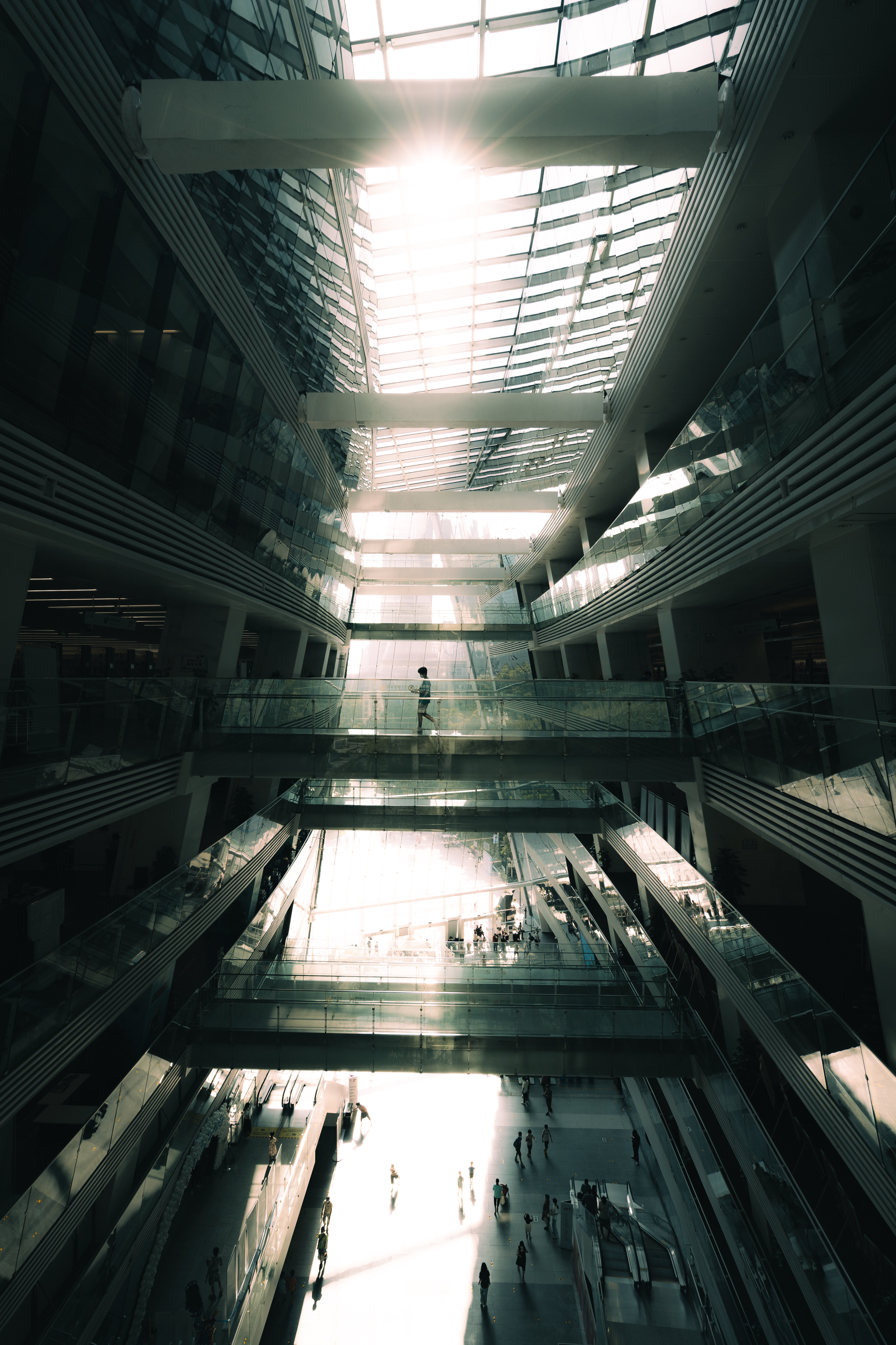 Photograph by Thomas You — 3